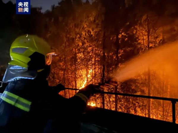 贵州一天通报6起山火原因，教训惨痛！